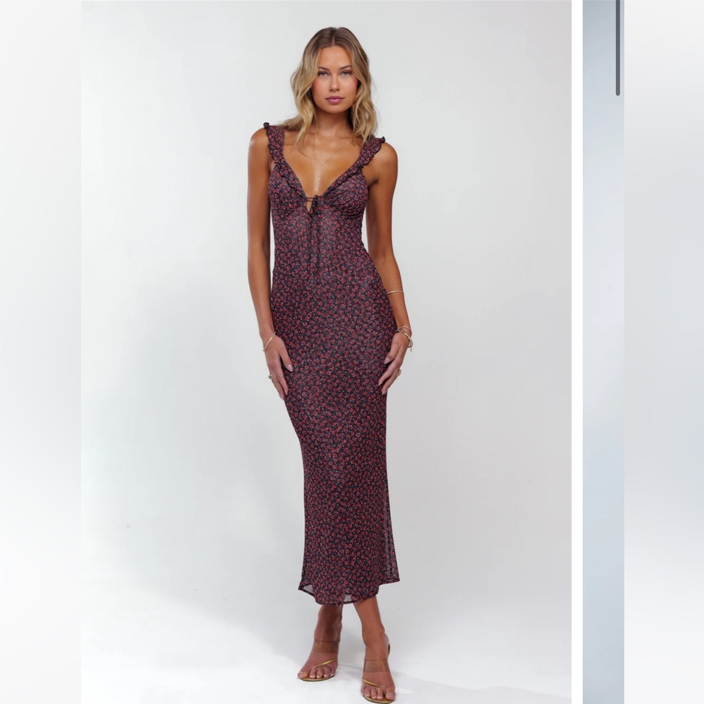 NWT RESA Goldie Dress in Besos